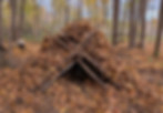 Construction d’un fort en nature