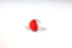 Pepper Projectie