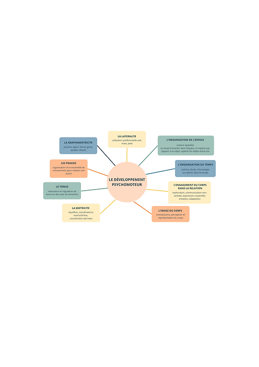 Schéma psychomot 2(3).png
