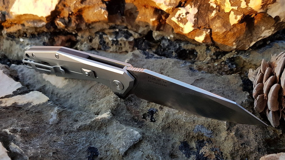 Прев'ю: Ніж складаний Ruike P135-SF