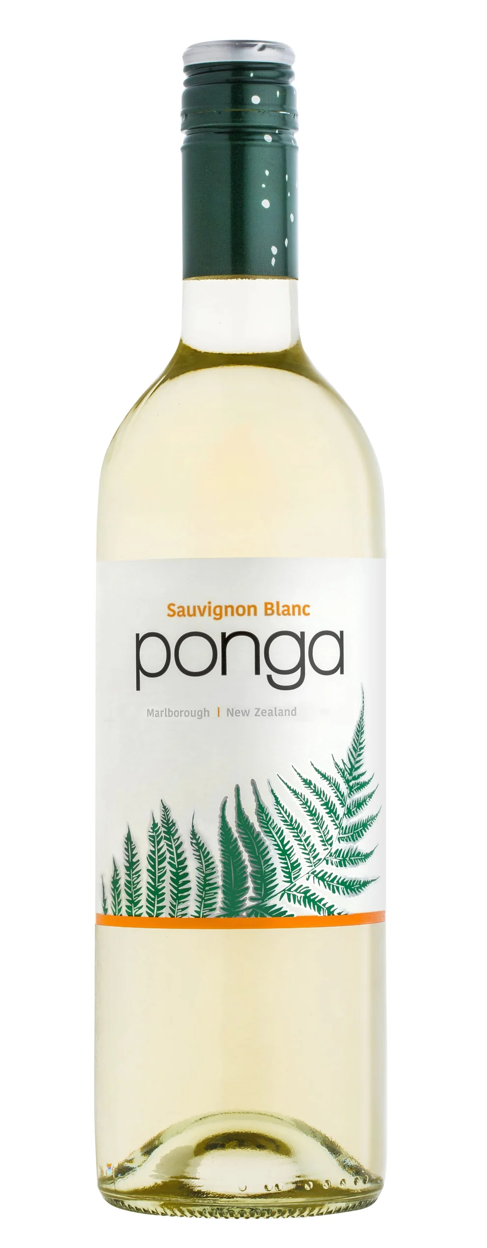 Ponga.webp