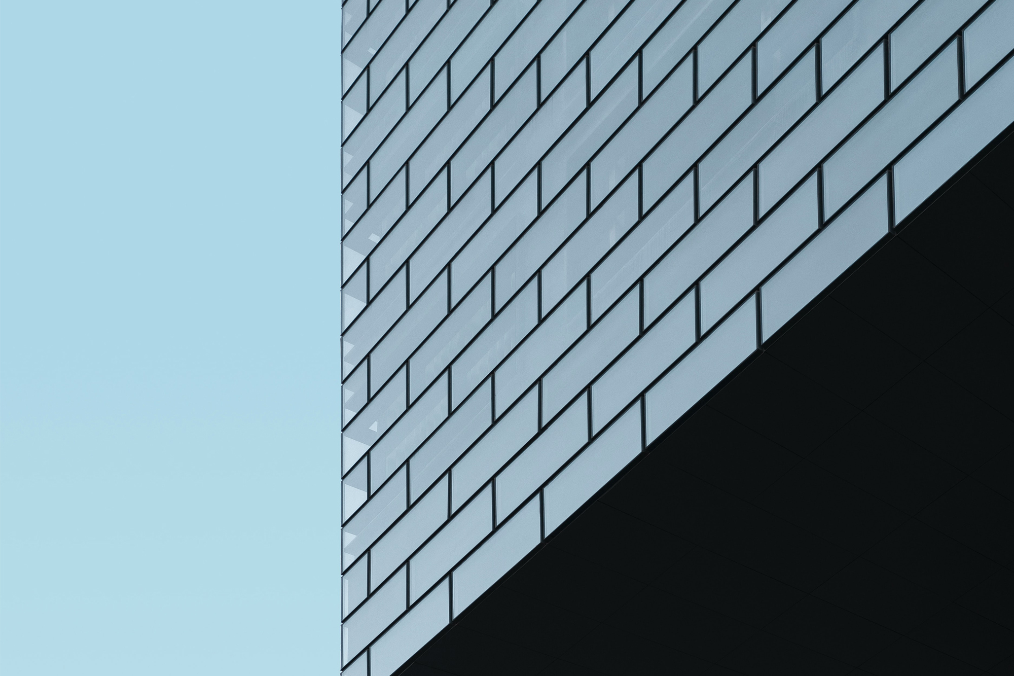 Bitmap.webp