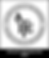 IFE_Affiliate Organisation_2025.png