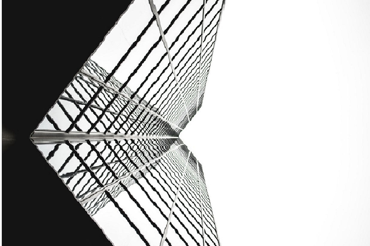 Bitmap.jpg