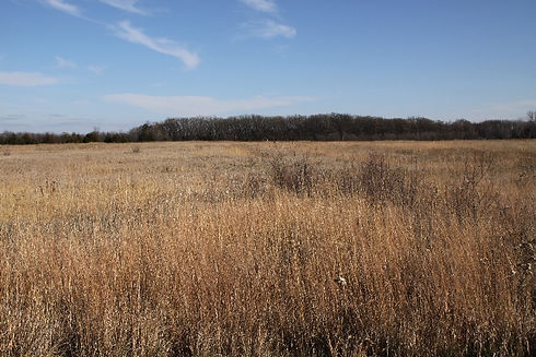 The Battle of Birch Coulee 03.jpg