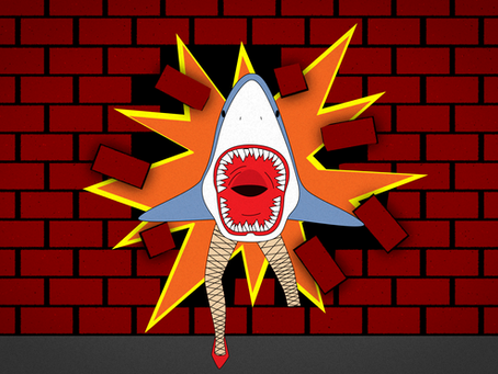 Shark Wizard - 1,000 Players!