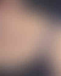 Bird tattoo on Collarbone