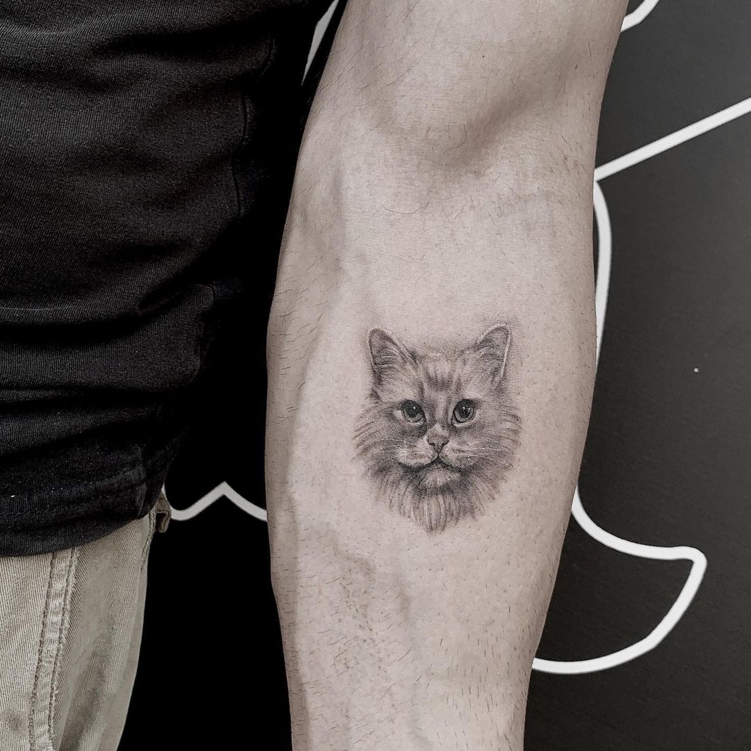 small cat portrait tattoo