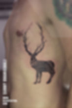 Deer Tattoo