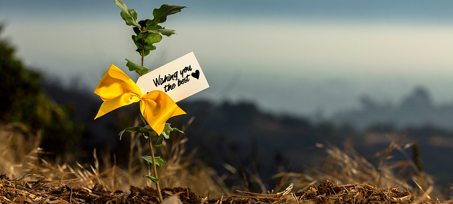 01 - Tded_OakBow_Wishing_you_the_best_12