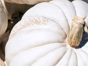 Pumpkins