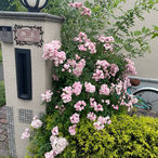 IMG_1926.jpeg