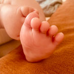 IMG_4549.JPEG