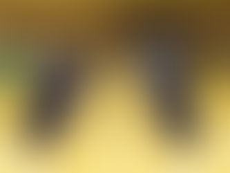 令和7年2月 昇級審査 形の部