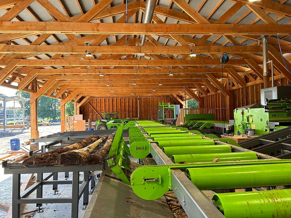 Logie Timber Processing Workshop.jpeg
