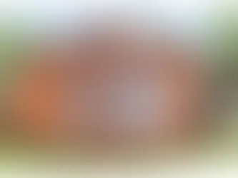 Affordable Laneway Houses in Port Coquitlam: Budget-Friendly Options