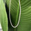 Thumbnail: Beaded Gemstone Necklace