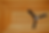 Ceiling No Bars.png