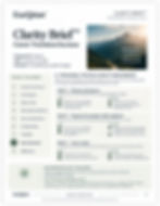 ExeQtion Clarity Brief for a Career Transition Decision.