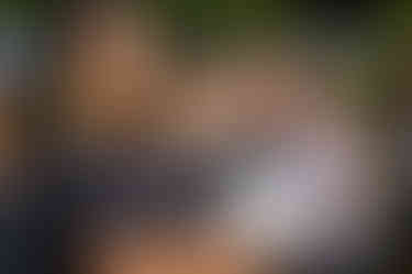 HPU OTD HI Program Photography 2025