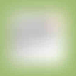 Native Bagel brand elements.