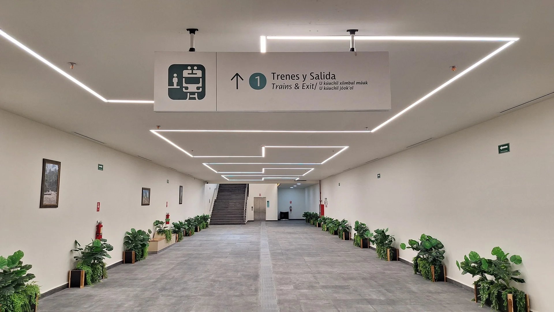 Tren Maya Tulum Aeropuerto