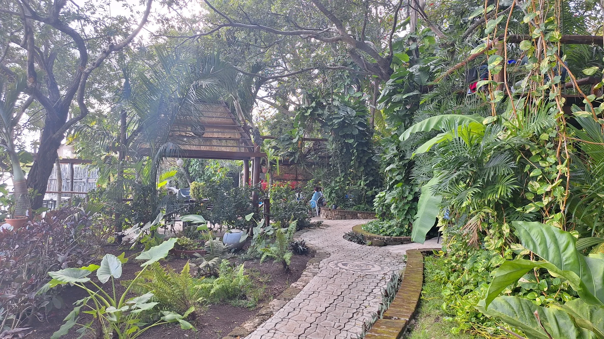 Los Aluxes en Bacalar