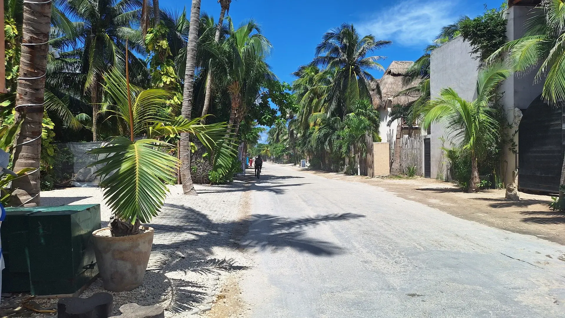 Vialidad a Zona Hotelera Tulum