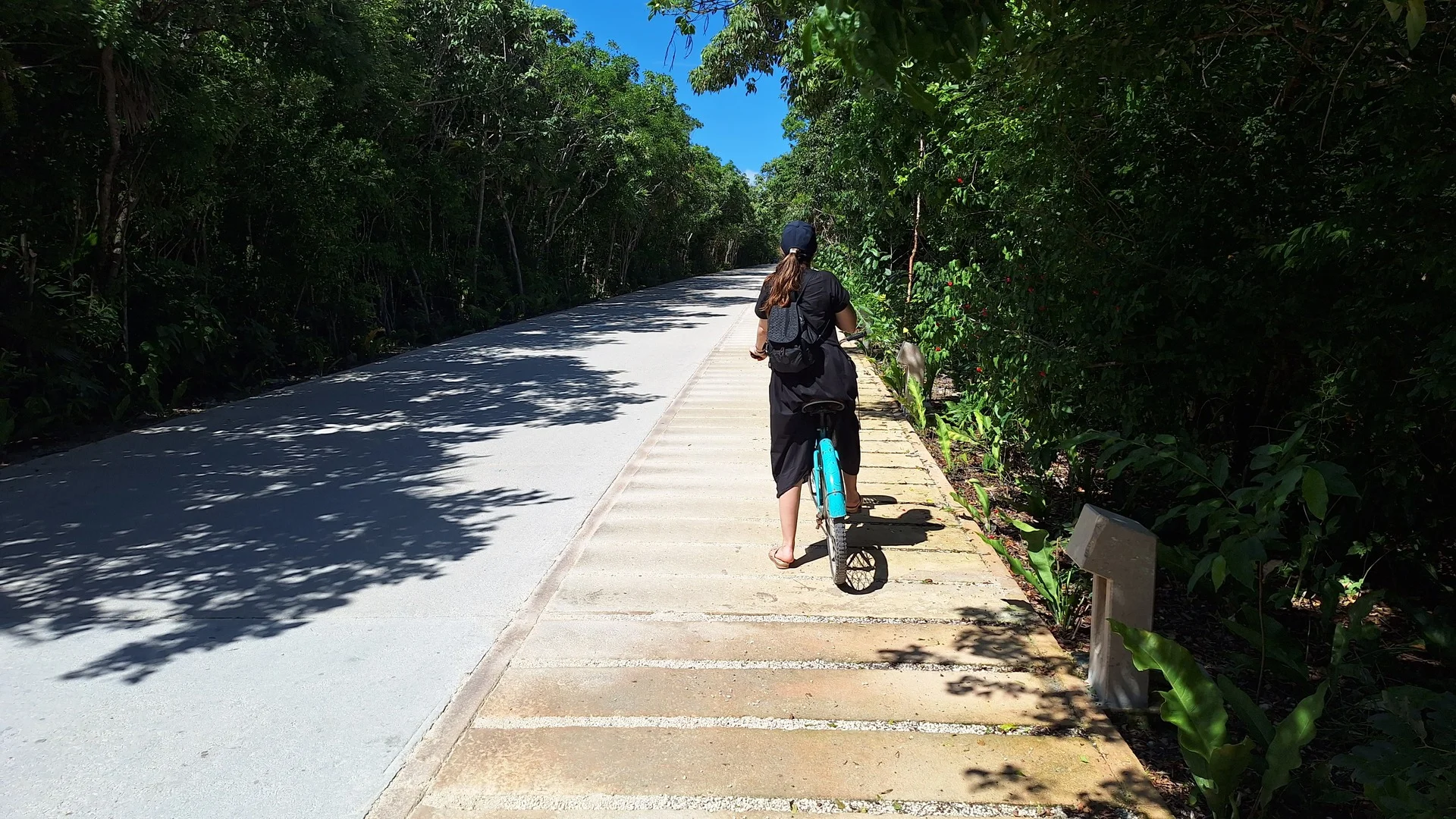 Vialidad Parque Tulum