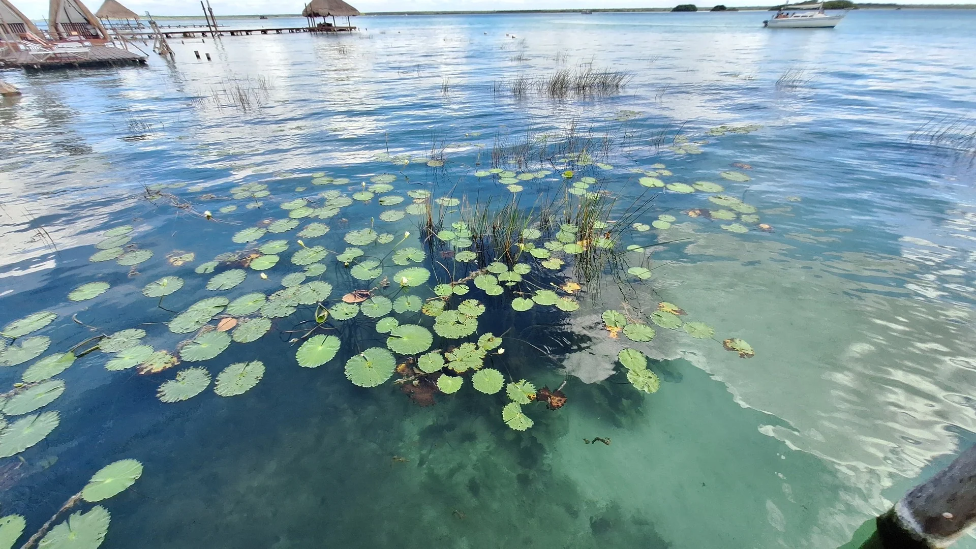 Los Aluxes en Bacalar