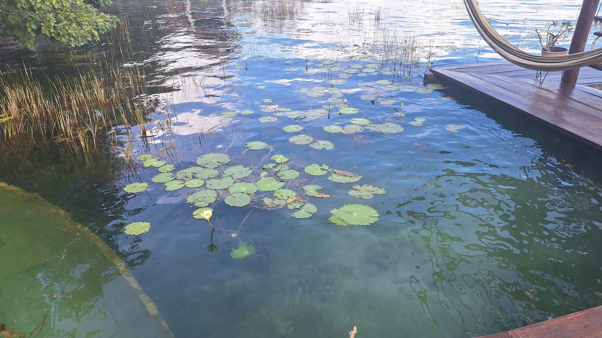 Los Aluxes en Bacalar