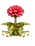 growing pink flower.png