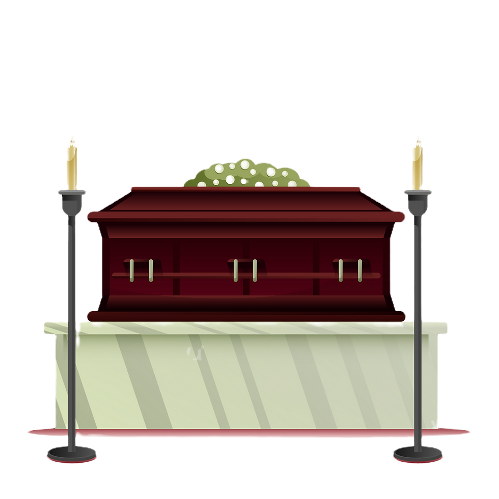 3514564_519103-PIZLIO-756-01_edited.png