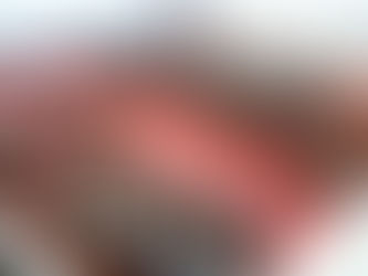 新潟県議会12月定例会が開会いたしました