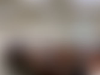 「高病原性鳥インフル問題」を産業経済委員会で質疑を行いました