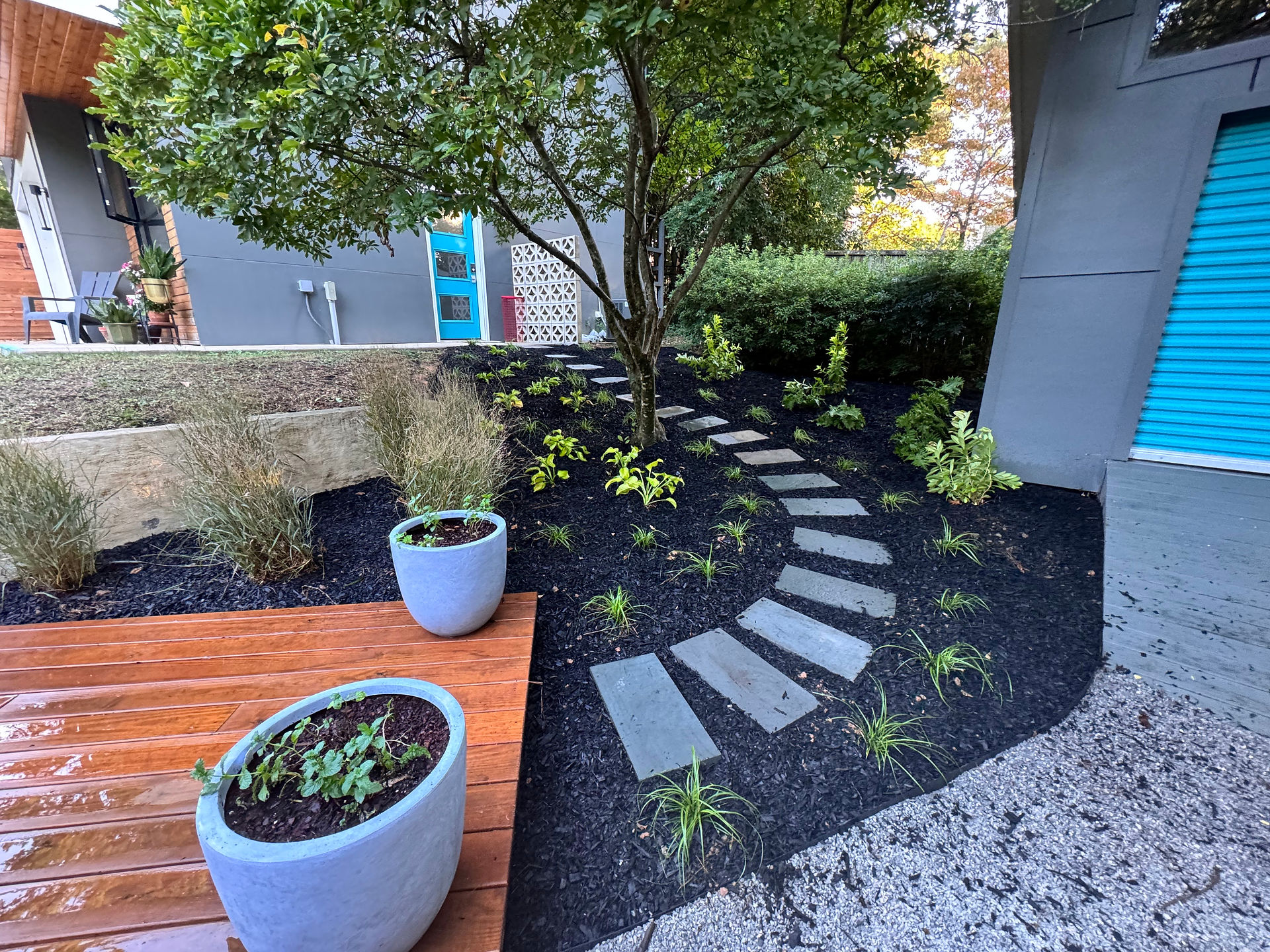 Stunning Garden Transformation