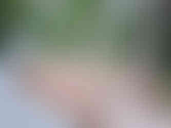 Where Pine Straw Meets Paradise