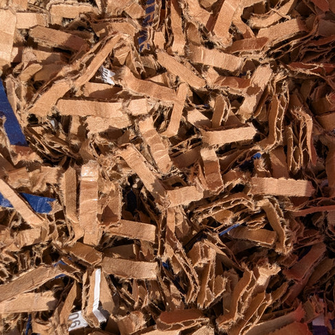 Leftover packing shreds.