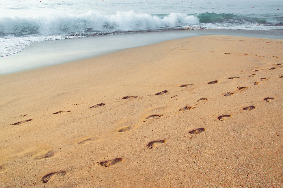 Do You Take Sand to the Beach?