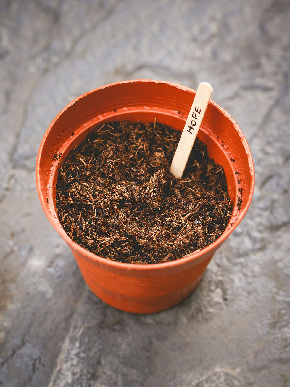 Orange plant pot filled with soil and a HOPE marker, symbolizing optimism on a gray stone surface.