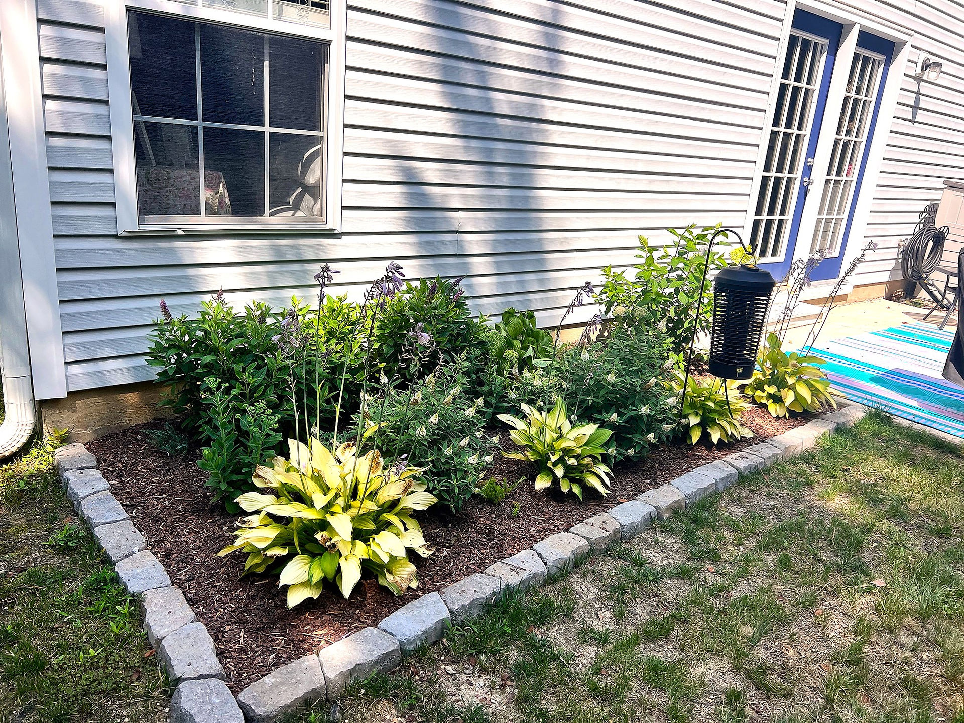 A Yard Brought to Life