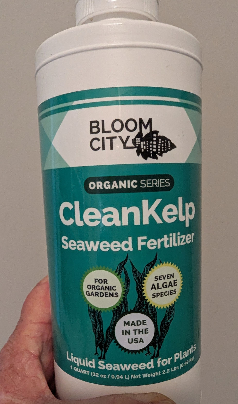 Hand holding a Bloom City CleanKelp seaweed fertilizer bottle with teal label and visible text on a plain indoor background