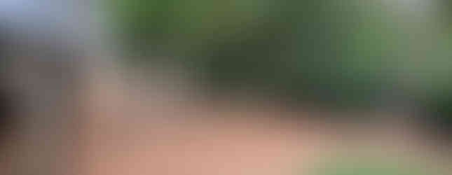 Backyard Glow-Up: Creating a Warm, Colorful, and Inviting Outdoor Space