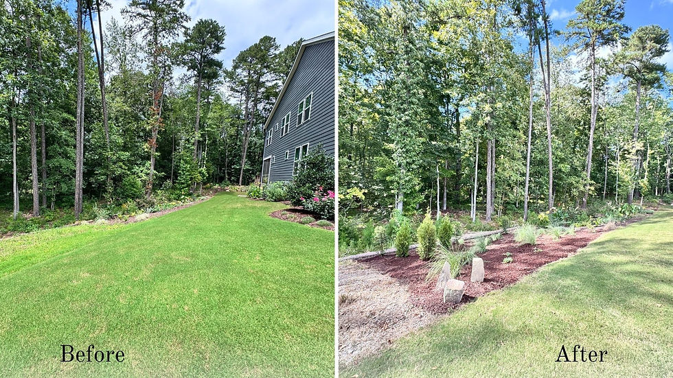 From Plain Lawn to Show-Stopping Garden