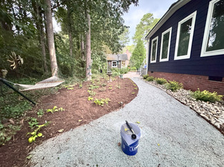 Where Pine Straw Meets Paradise