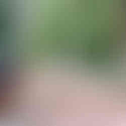 Where Pine Straw Meets Paradise