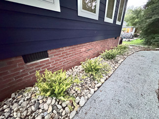 Where Pine Straw Meets Paradise