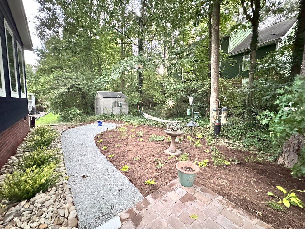 Where Pine Straw Meets Paradise