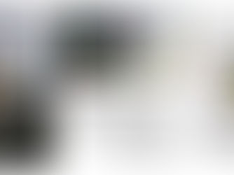 Les pigeons à l'honneur dans le journal municipal de Fontenay-sous-Bois