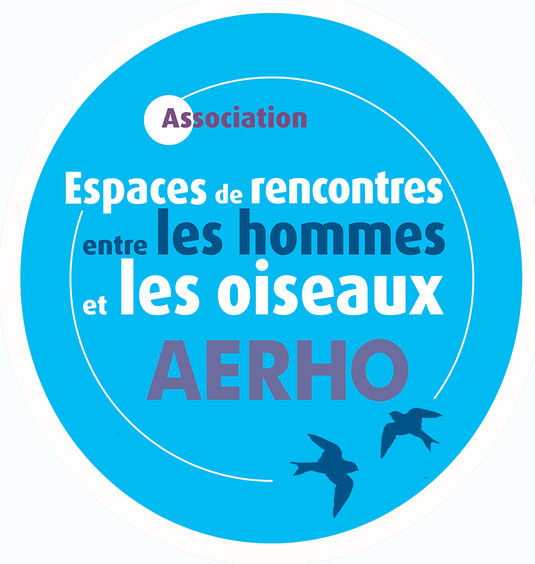 Les Gestes Utiles Pour Sauver Et Ou Soigner Un Pigeon Ou Pigeonneau